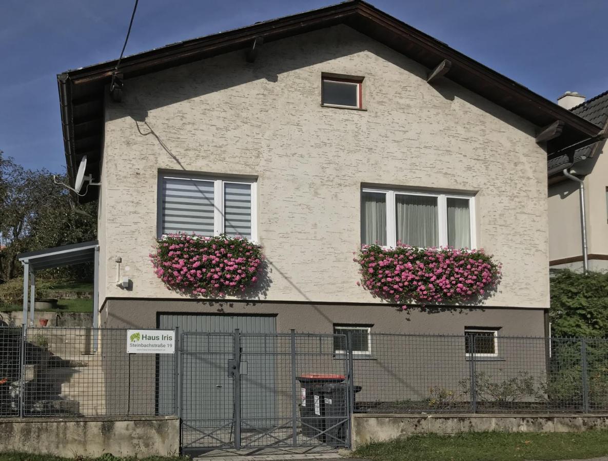 Haus-Iris-Mauerbach Villa Bagian luar foto